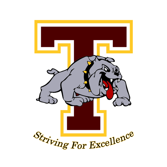 T Tigers logo