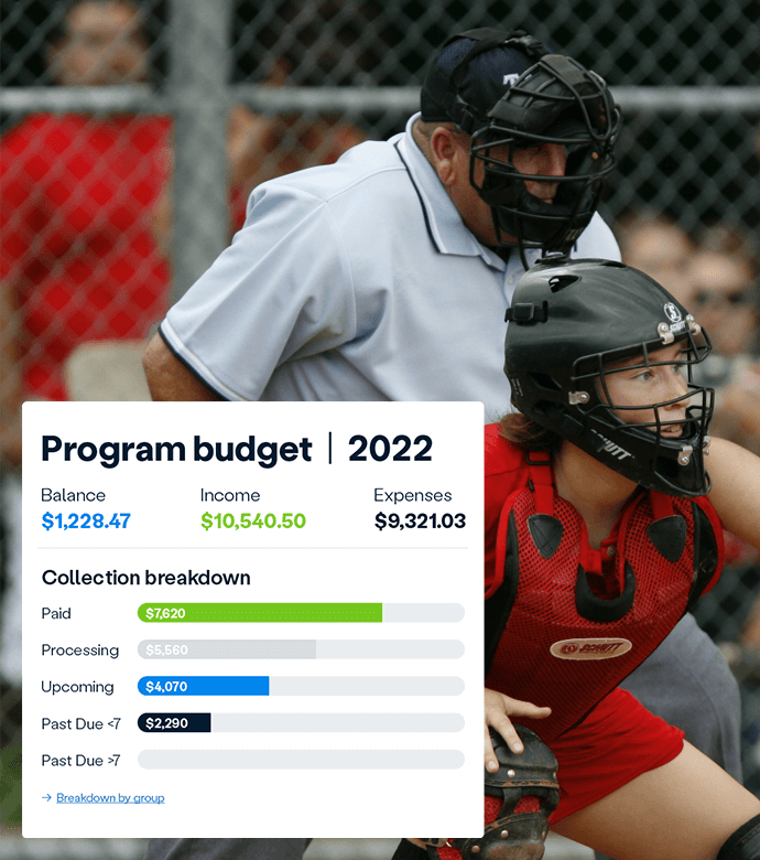 screenshot of program budget page